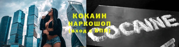 дмт Каменка