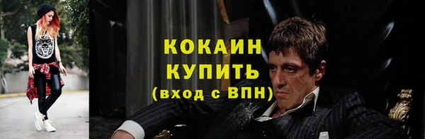 СК Каменногорск