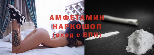 дмт Каменка