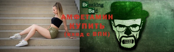 СК Каменногорск