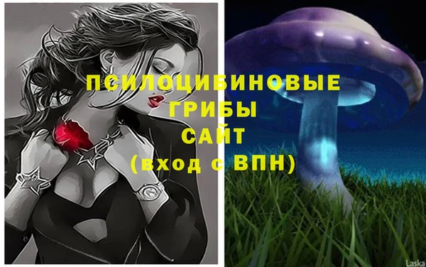 дмт Каменка