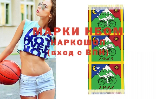 дмт Каменка