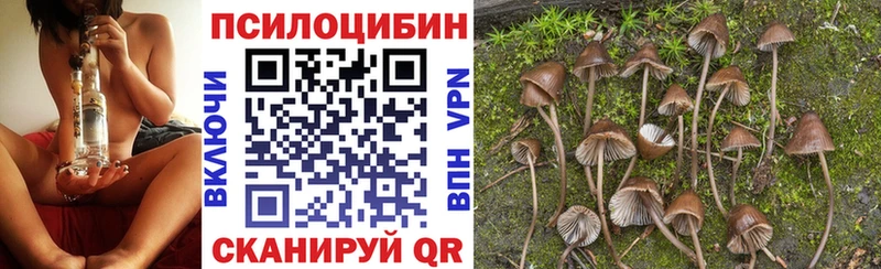 МЕГА зеркало  это официальный сайт  Псилоцибиновые грибы GOLDEN TEACHER  Кукмор 