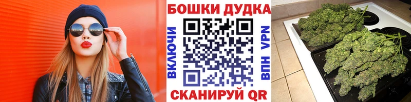 Бошки Шишки конопля  где купить наркоту  Кукмор 